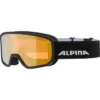 Masque De Ski Alpina Scarabeo S Q-Lite Black Matt -Equipment De Ski Soldes 1 6937508