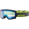 Masque De Ski Alpina Scarabeo Jr. Black -Equipment De Ski Soldes 5871775