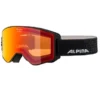 Masque De Ski Alpina Alpina Narkoja Q-Lite Black