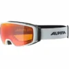 Masque De Ski Alpina Double Jack Planet Q-Lite White Matt Rainbow -Equipment De Ski Soldes skibril20alpina20double20jack20planet20q lite20white20matt20rainbow 1